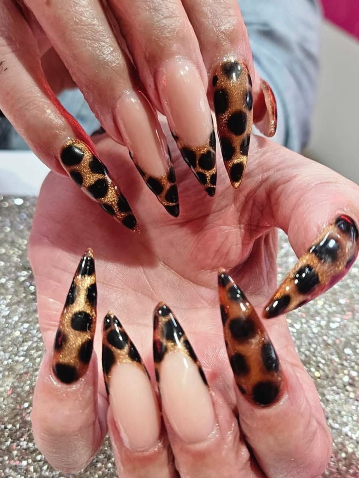 Long stiletto nails with leopard print and black French tips on a nude base